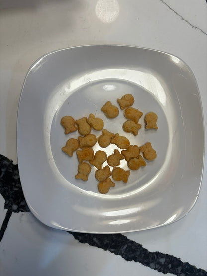 White plate with small animal treats on a white surface