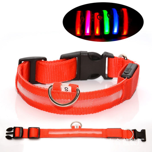 Red dog collar with LED light feature on a white background