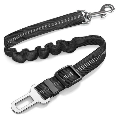 Black dog leash with metal clip on a white background