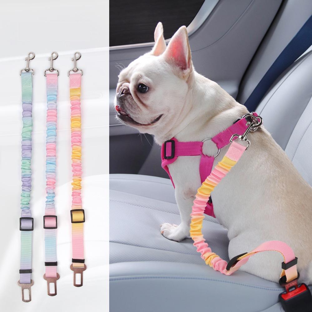 Collage of colorful dog leashes and a dog wearing a pink harness with a leash.