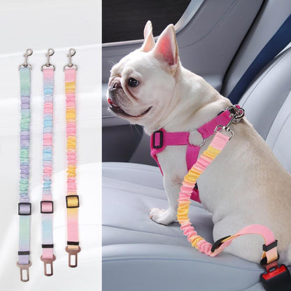 Collage of colorful dog leashes and a dog wearing a pink harness with a leash.