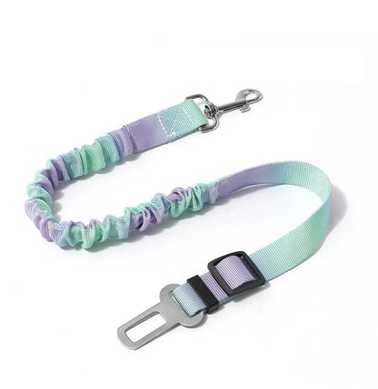 Multicolored dog leash with a car seat belt clip on a white background
