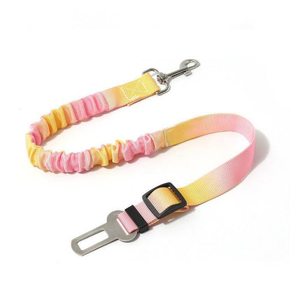 Colorful dog leash with a car seat belt clip on a white background