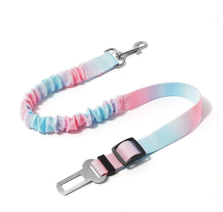 Colorful dog leash with a metal clip on a white background