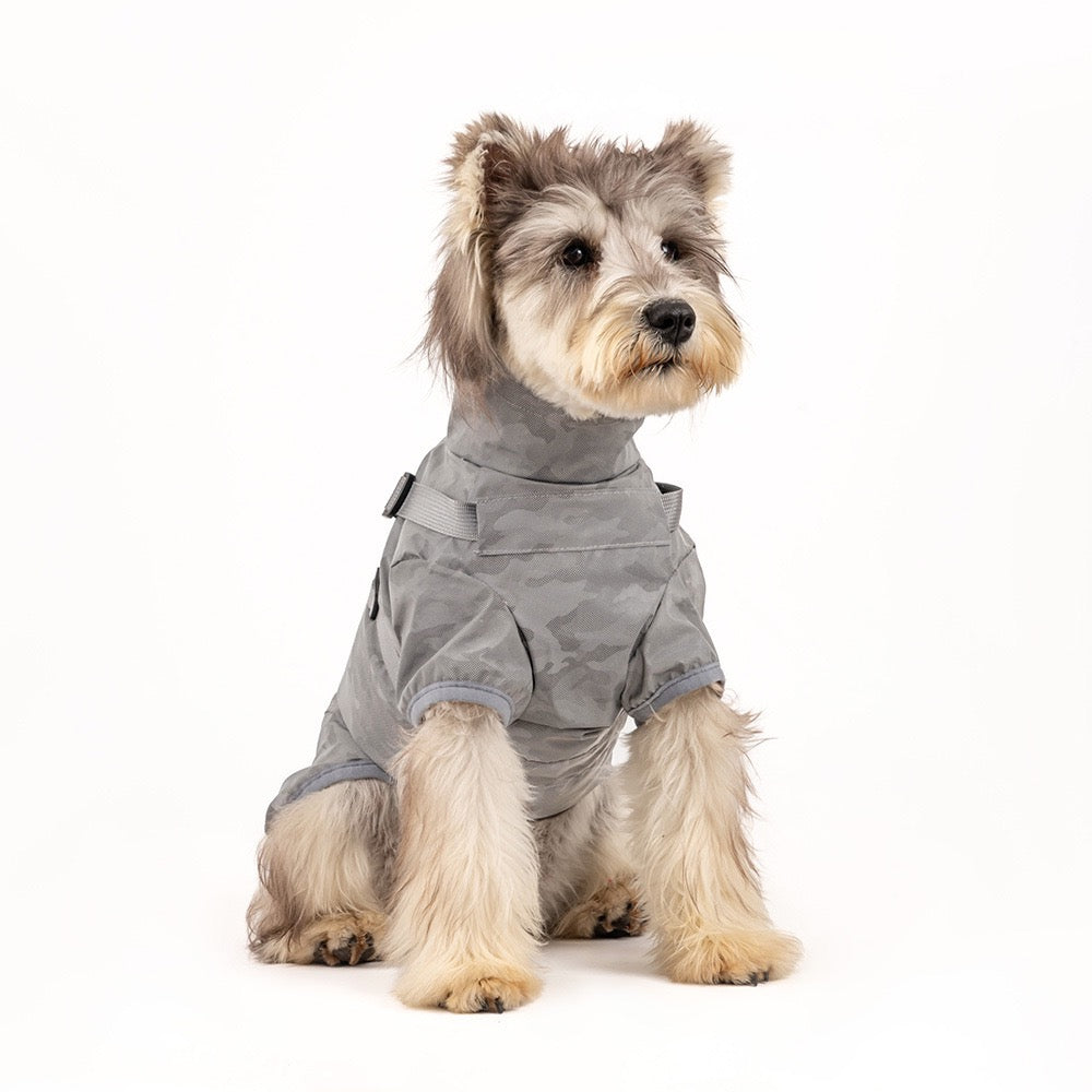 Dog wearing a gray hooded outfit on a white background