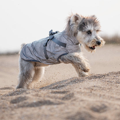 Dog wearing a gray raincoat on a sandy beach