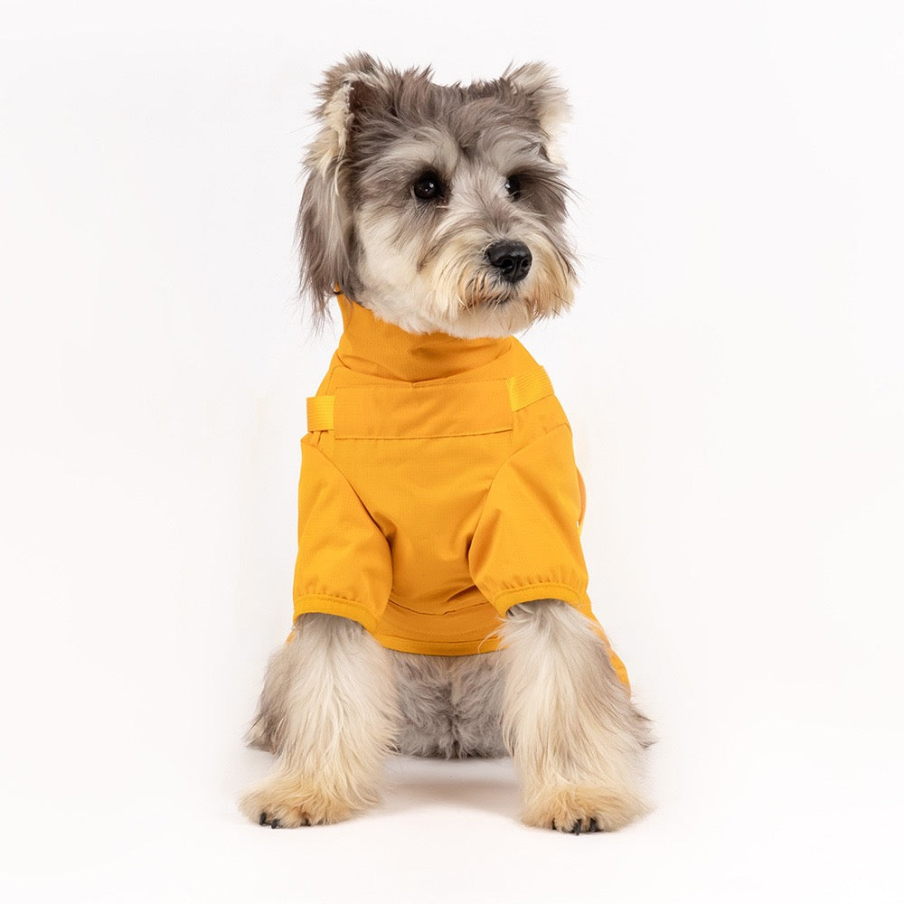 Dog wearing a yellow raincoat on a white background