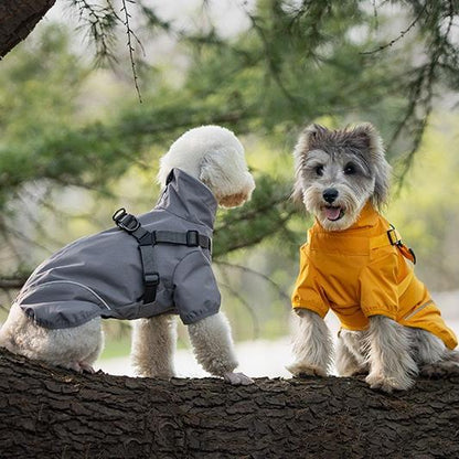 Two dogs wearing raincoats standing on a tree trunk with a forest background.