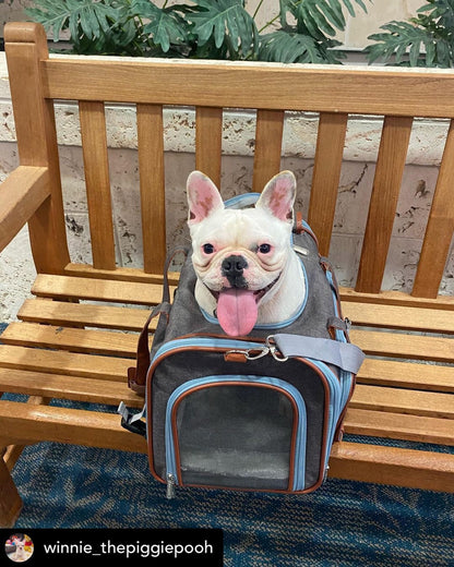 Dog sticking its tongue out while sitting in a pet carrier on a wooden chair.