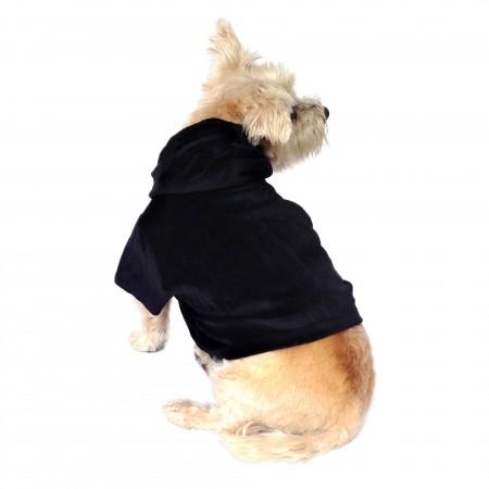 Small dog wearing a black hoodie on a white background