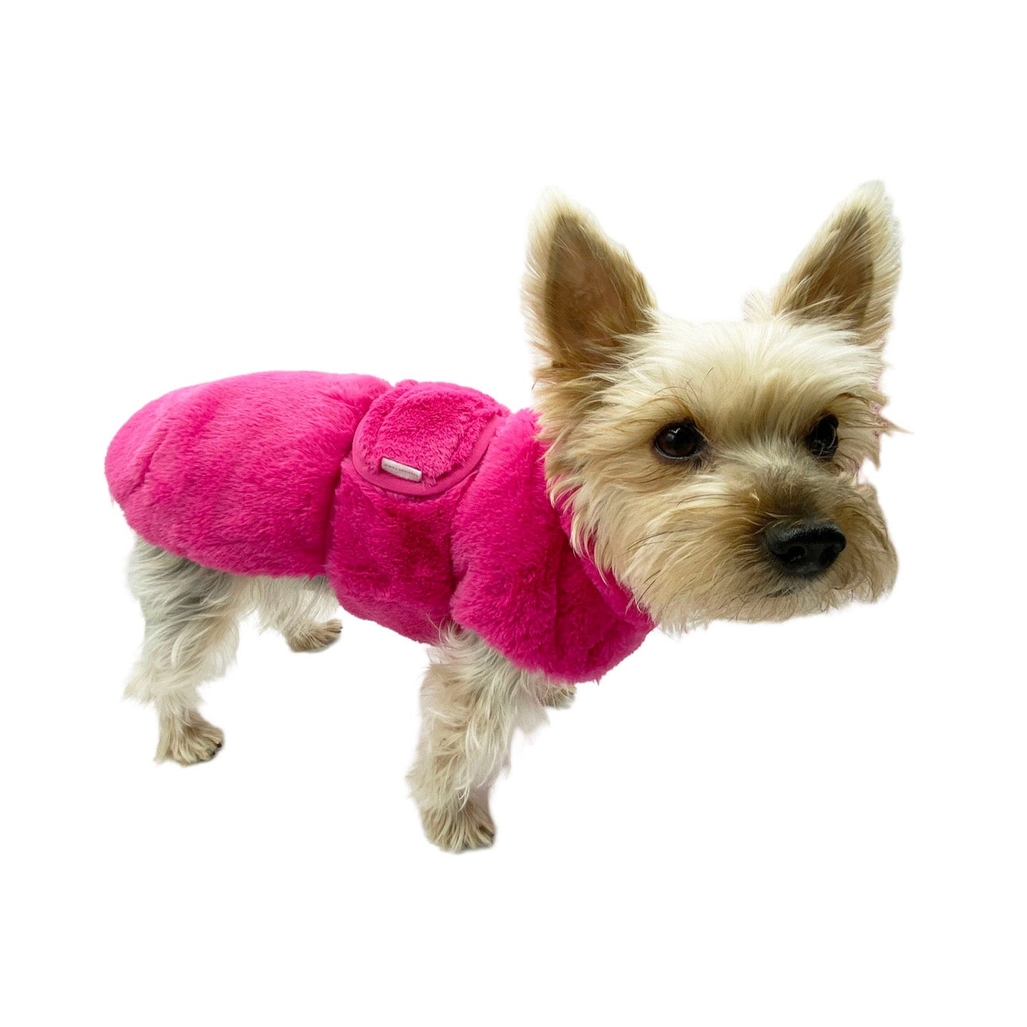 Small dog wearing a pink fleece coat on a white background