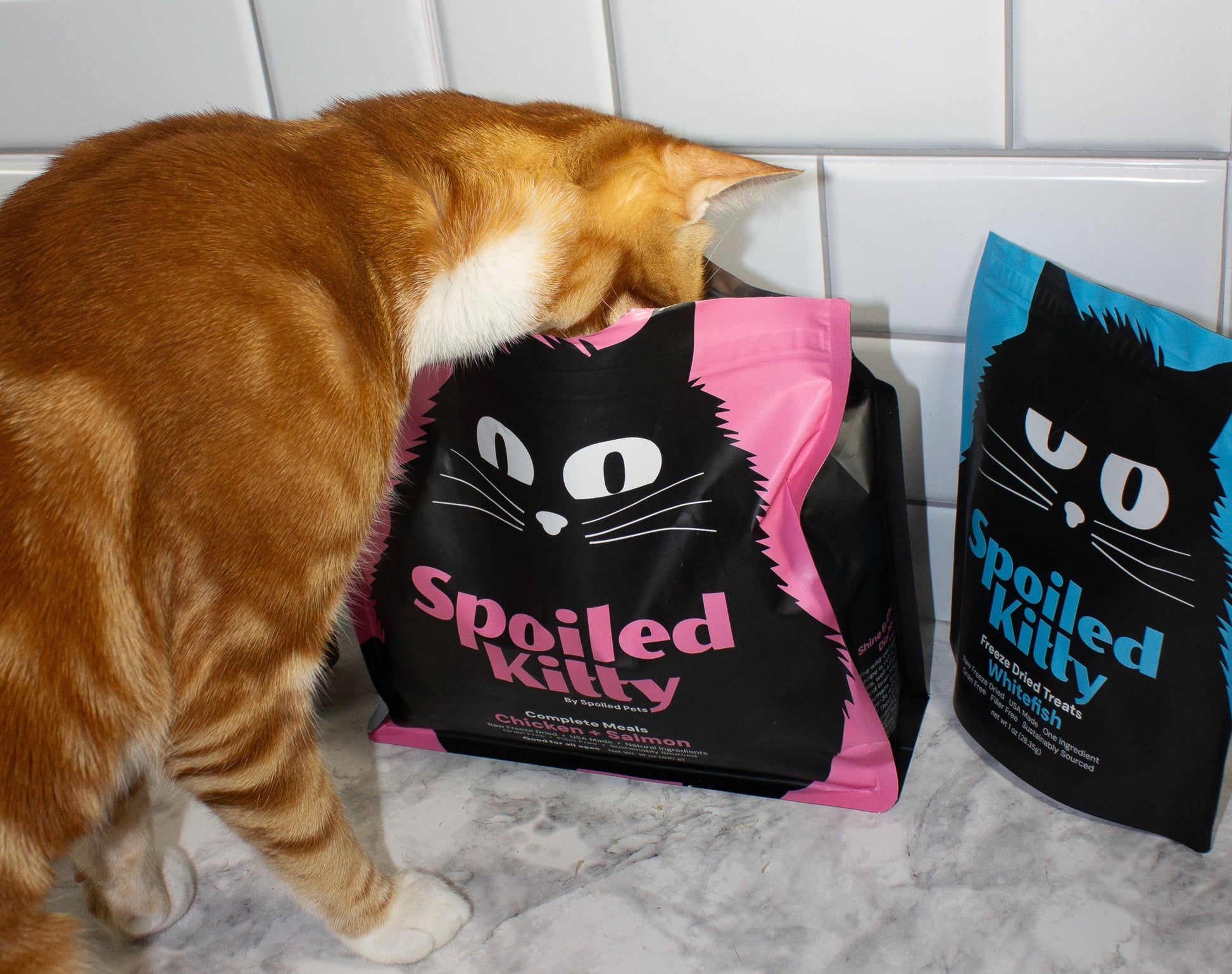 Cat interacting with a 'Spoiled Kitty' pet food bag on a tiled floor.