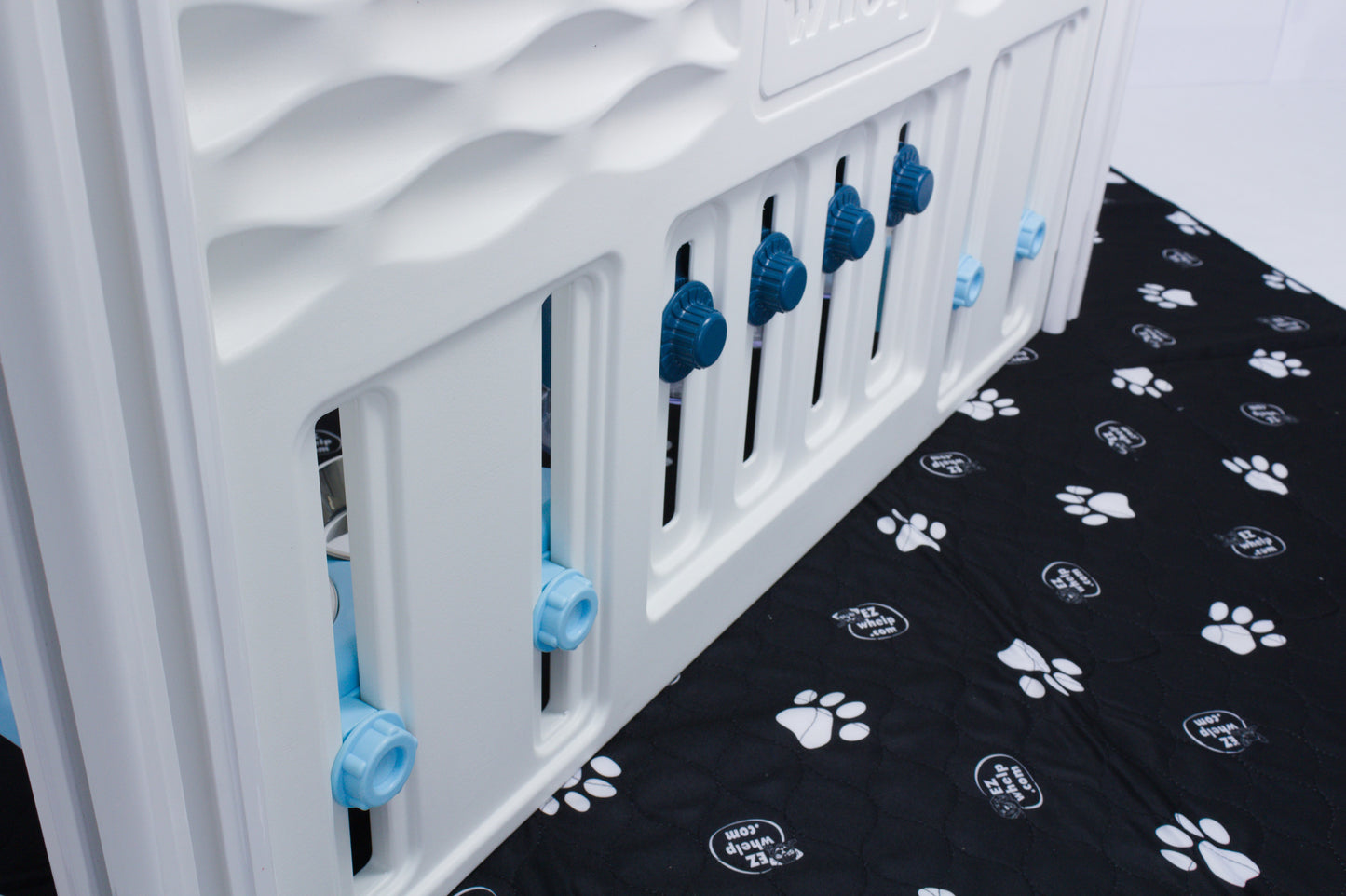 White crib with blue accents on a black blanket with paw prints