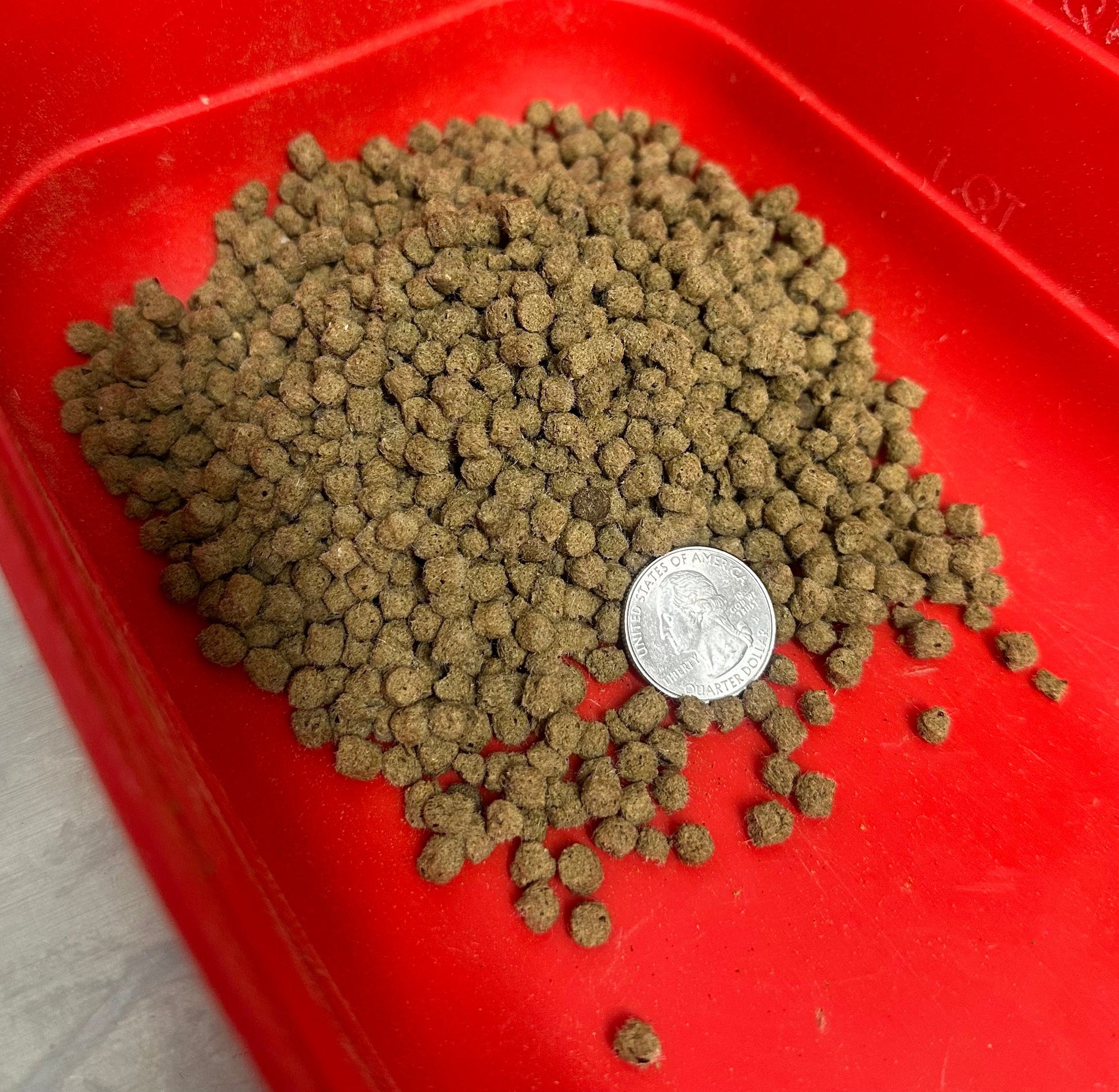 Green pet food pellets on a red tray with a coin for scale