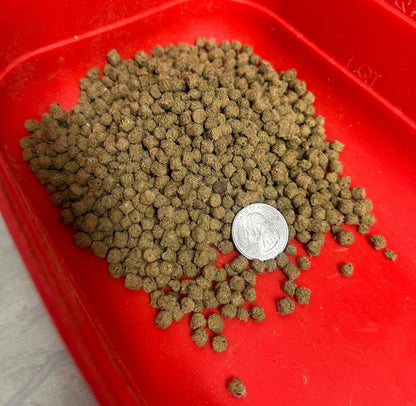 Green pet food pellets on a red tray with a coin for scale
