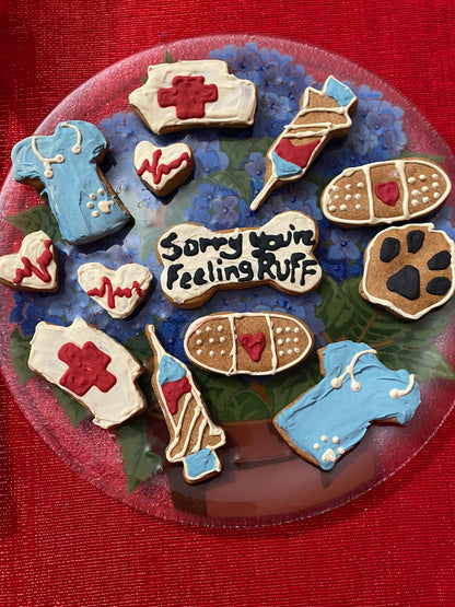 Decorative cookies shaped like medical supplies and a dog coat on a red background