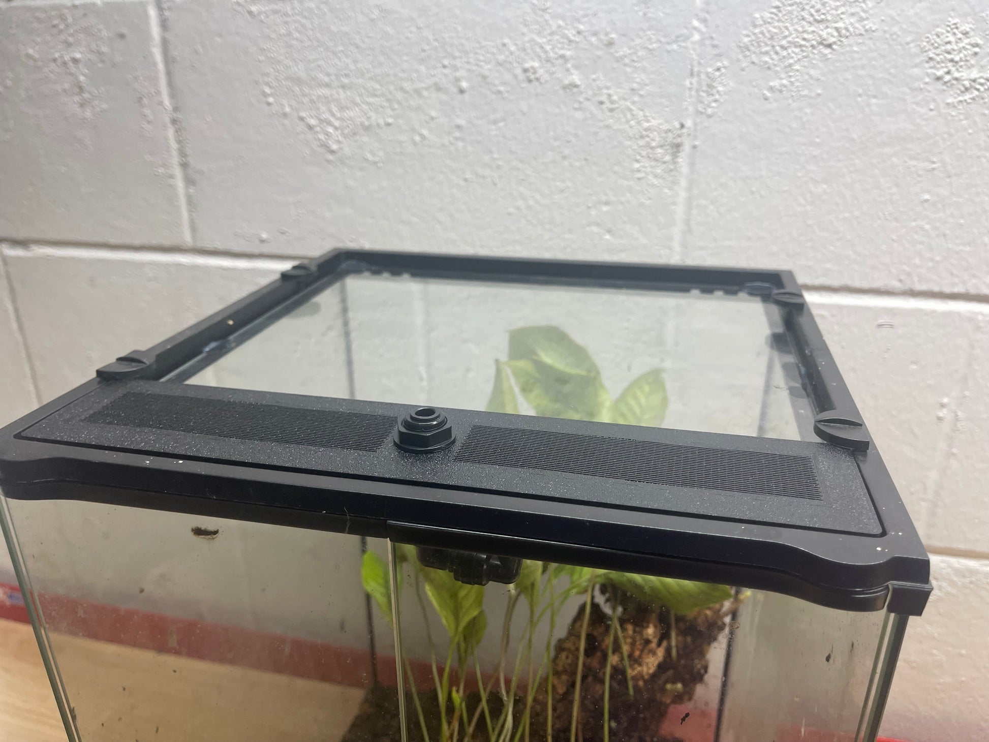 Small aquarium with a black cover on a tiled wall background