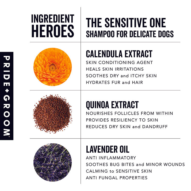 Product label for 'The Sensitive One' shampoo with ingredients listed and Pride & Groom branding.