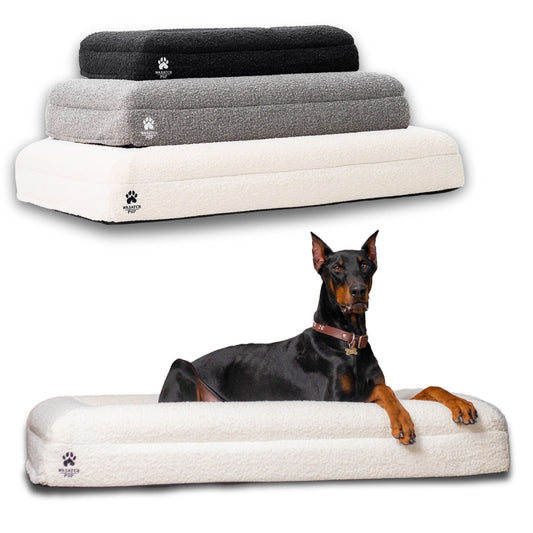 Luxury Orthopedic Dog Bed
