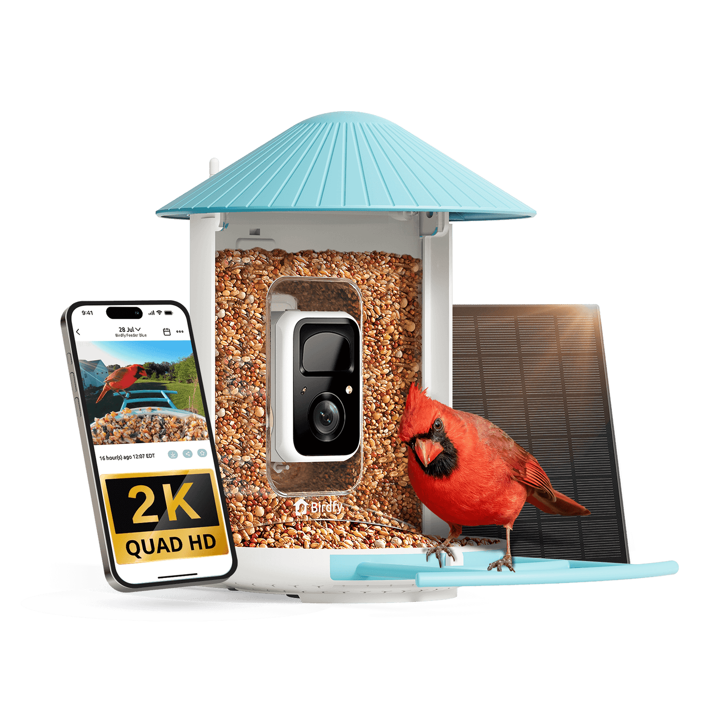 Birdfy Feeder with Solar Panel - Solar-Powered Smart Bird Feeder with Camera