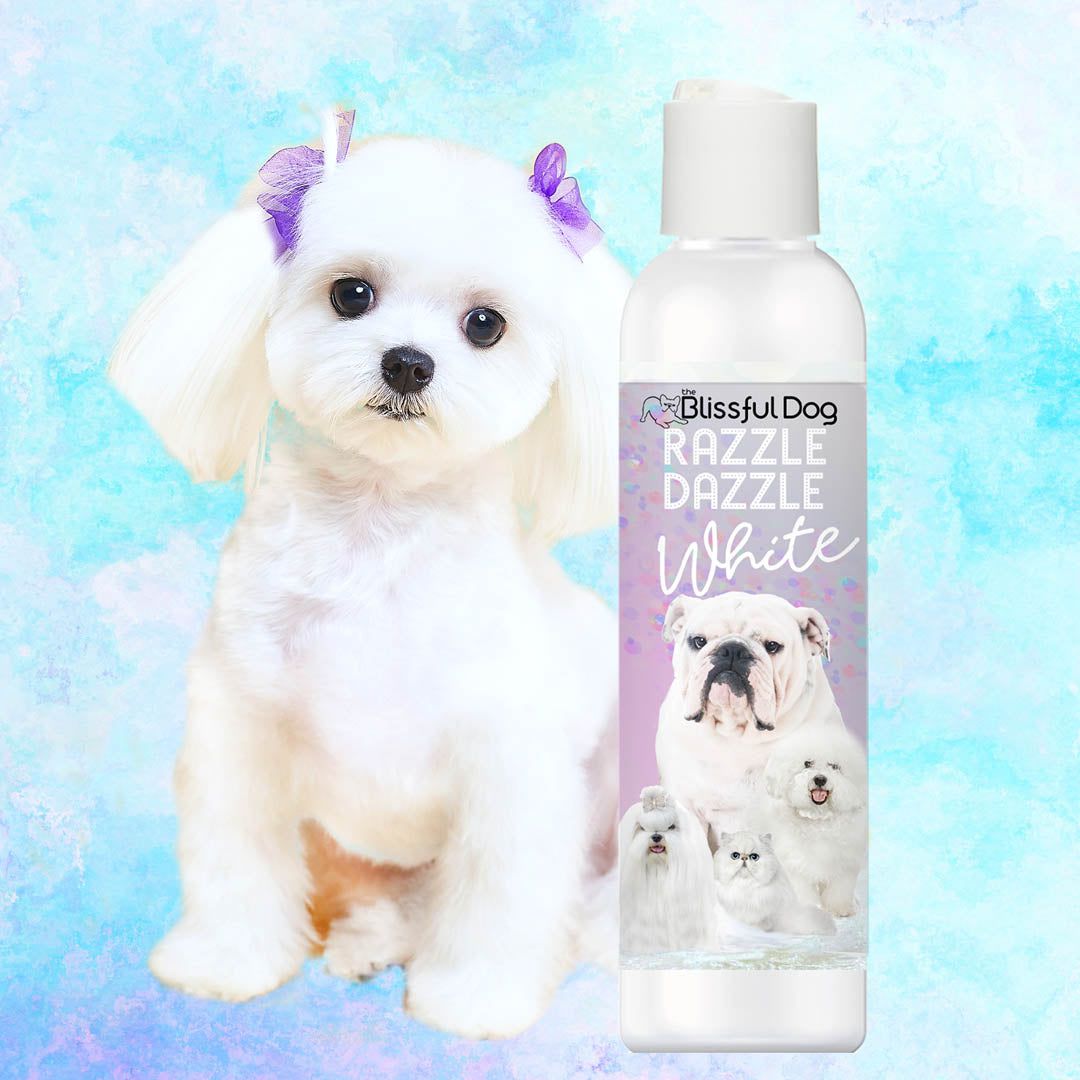 Dog with a bottle of 'Blissful Dog Razzle Dazzle White' shampoo against a colorful background