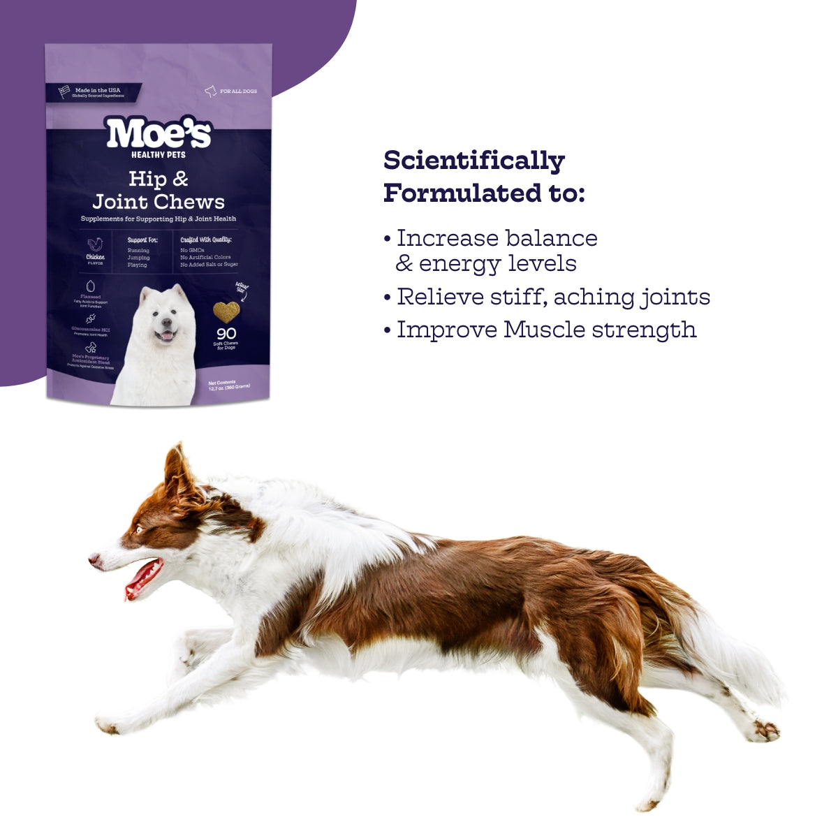 Moe's Healthy Pet Hip & Joint Chews packaging with a running dog on a white background