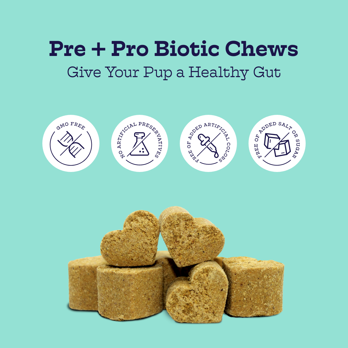 Give You Pup a Healthy Gut