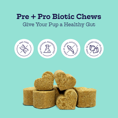 Give You Pup a Healthy Gut