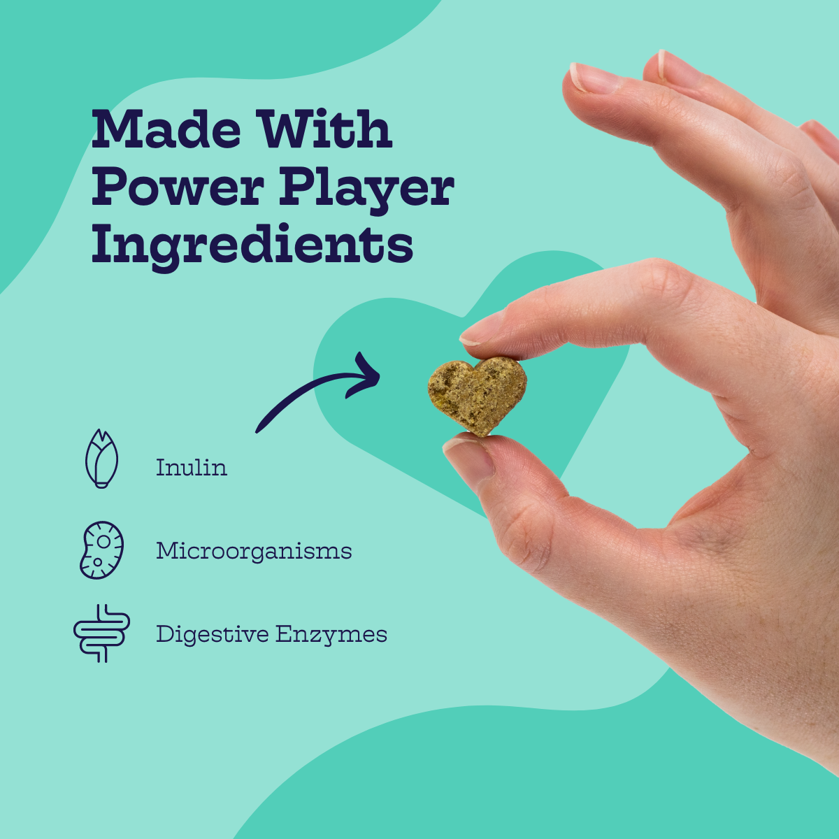 Probiotic Supplements