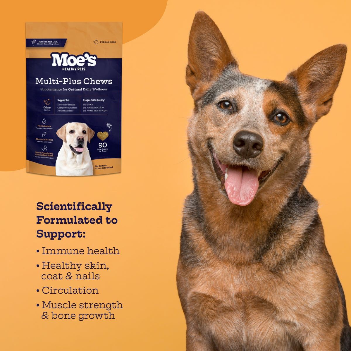 Dog with Moe's Multi-Plus Chews packaging on an orange background