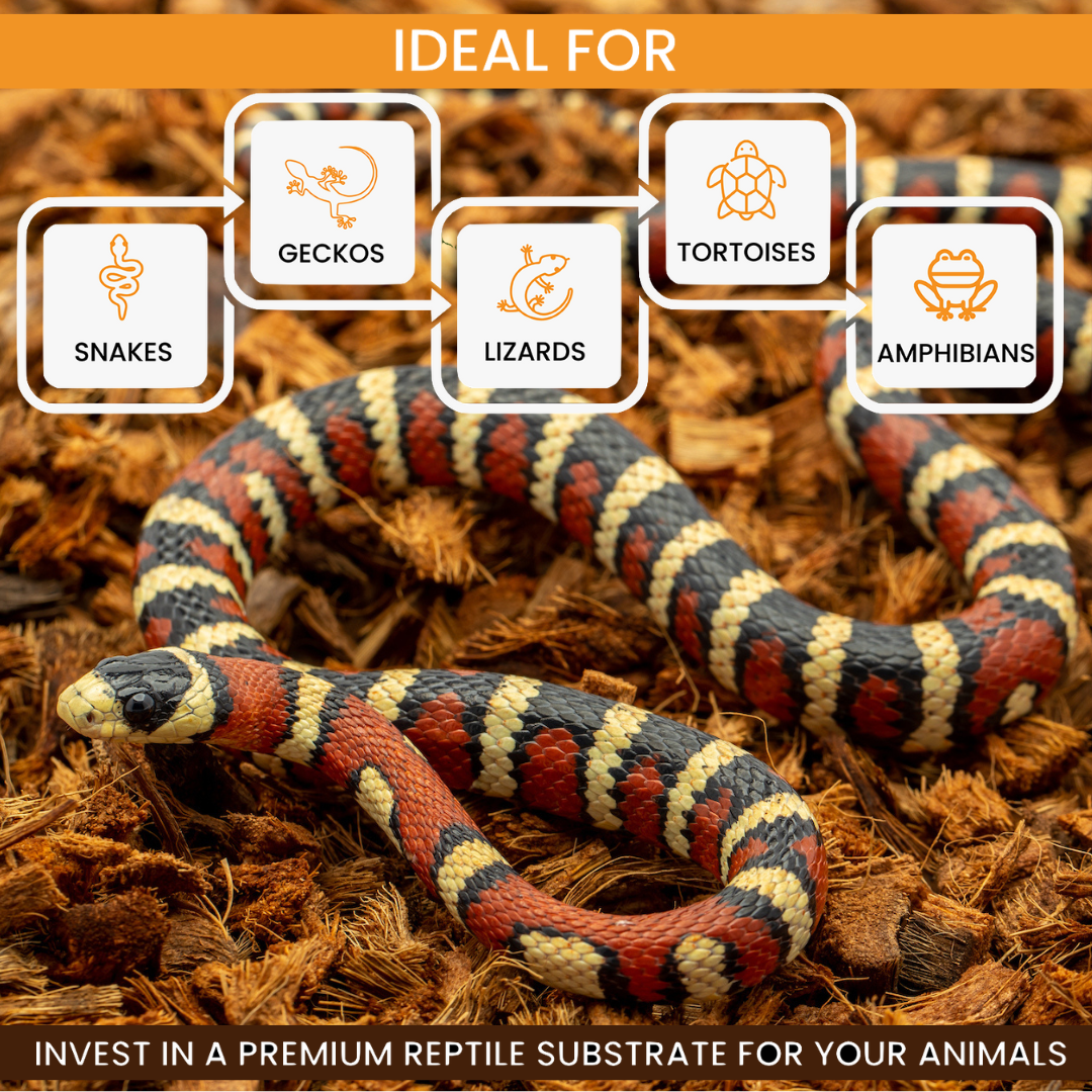 RediChip is the premium medium-sized coconut chip substrate for assorted reptiles