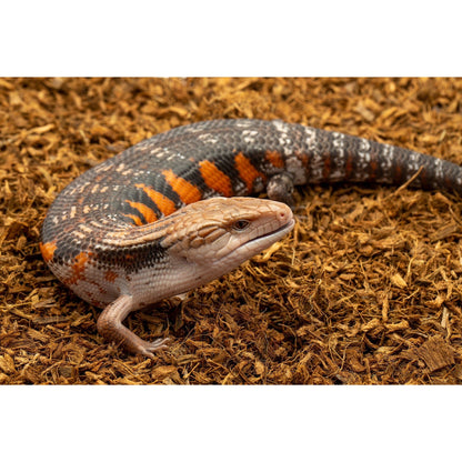 MicroChip – Ultra-Fine Coconut Chip Substrate 