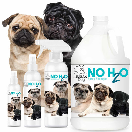 Dog grooming products with 'NO H2O' branding featuring pug dogs on a white background.
