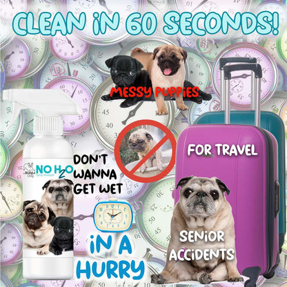 Promotional graphic with pugs, travel items, and text about cleaning solutions.