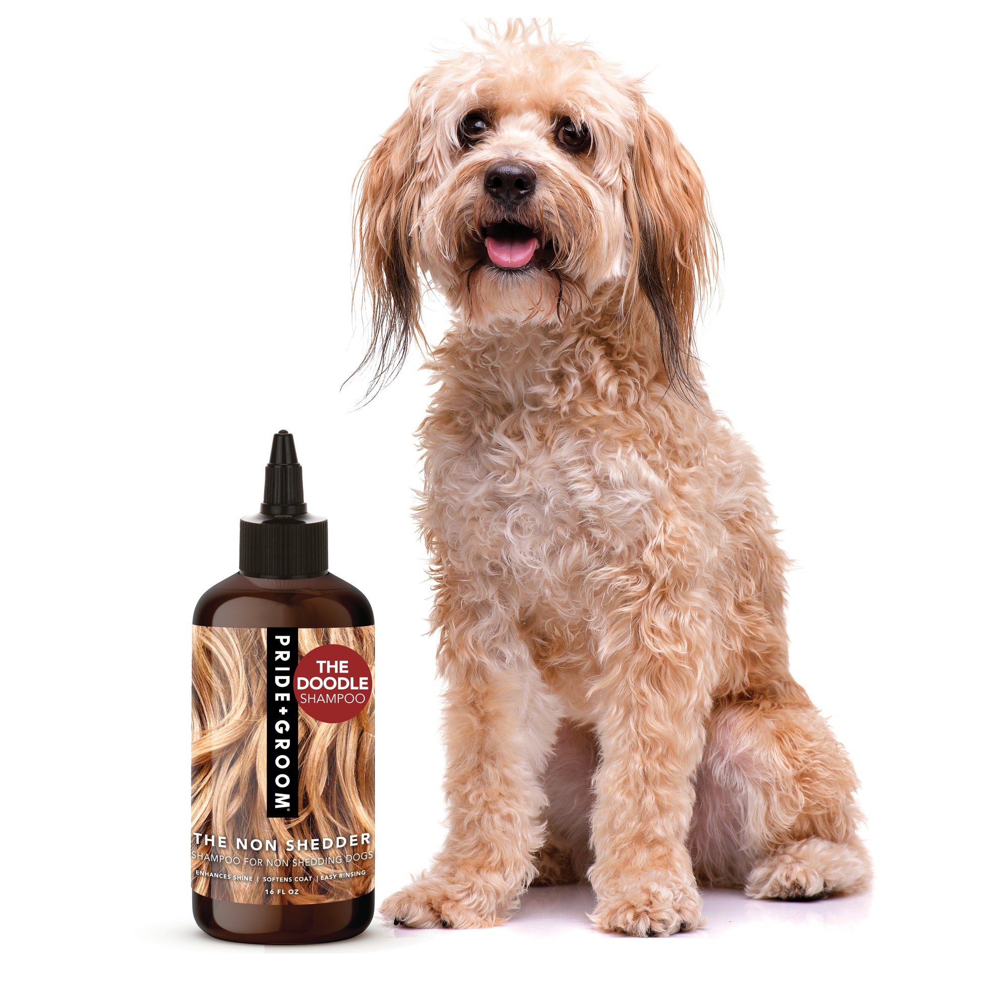 Dog with a bottle of 'Pride Groom' dog shampoo on a white background