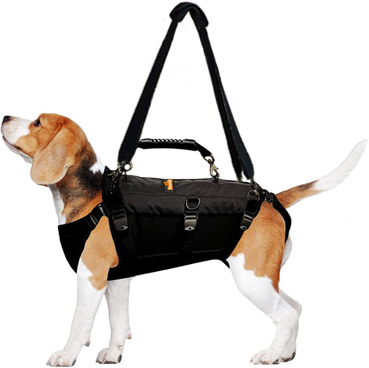 Dog wearing a black harness with straps on a white background
