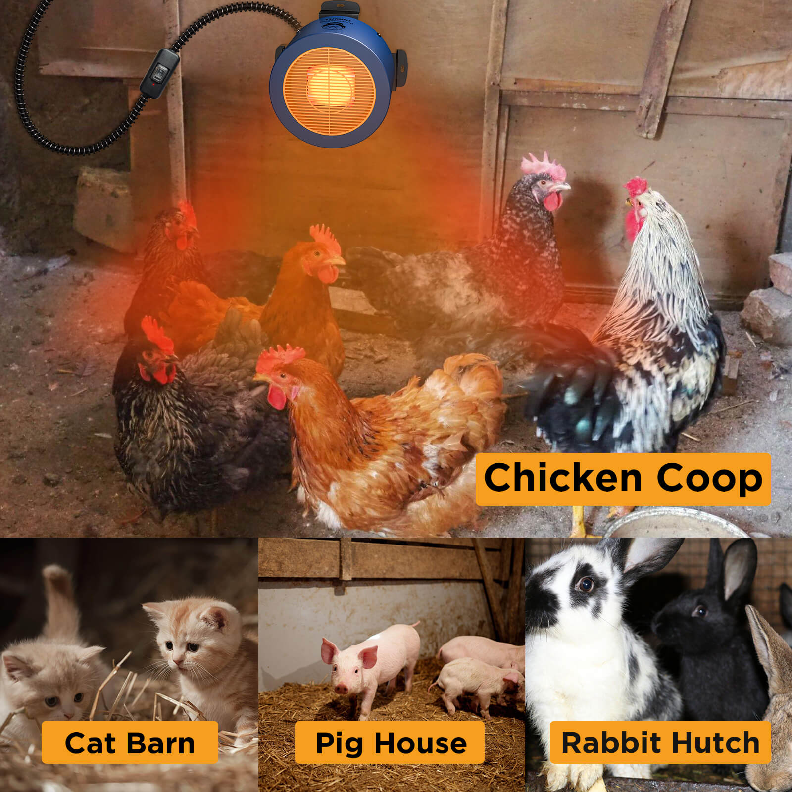 Collage of animals in different enclosures with labels for 'Chicken Coop', 'Cat Barn', 'Pig House', and 'Rabbit Hutch'.