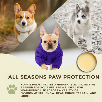 Norfie Repairing Balm