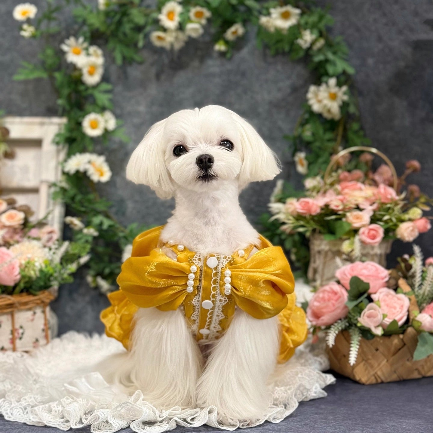 White dog in a yellow dress with floral decorations and flowers in the background