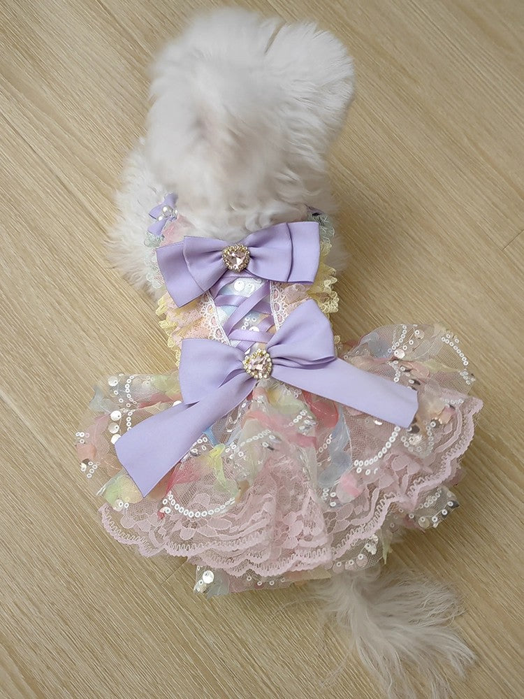 Dog dress with purple bows and lace on a wooden floor