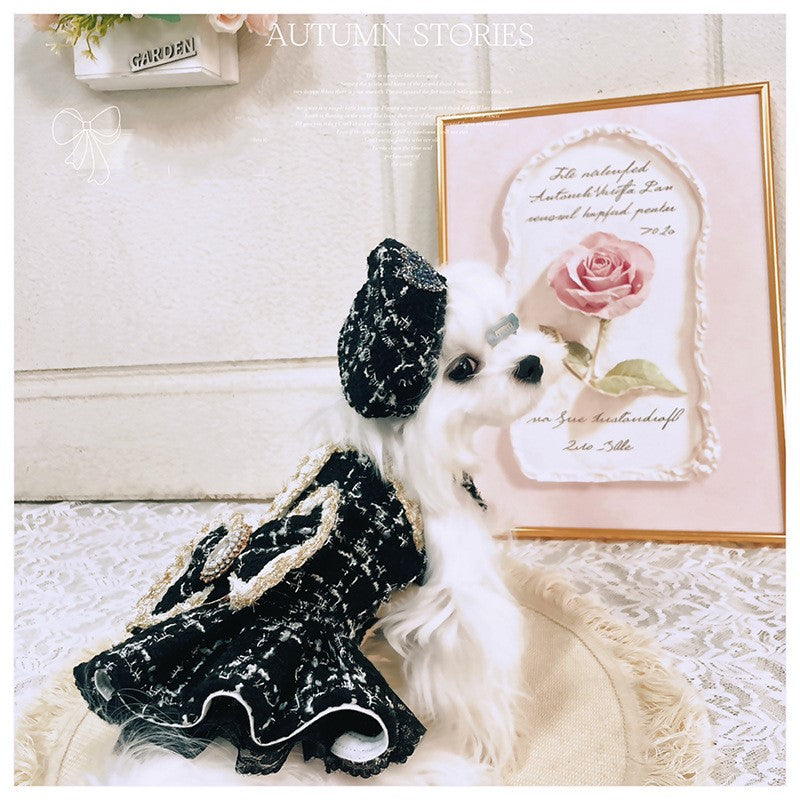 Small dog wearing a black lace dress sitting on a textured surface with a decorative frame in the background.