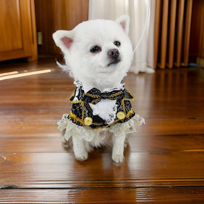 Small white dog wearing a black and gold outfit with lace details on a wooden floor.