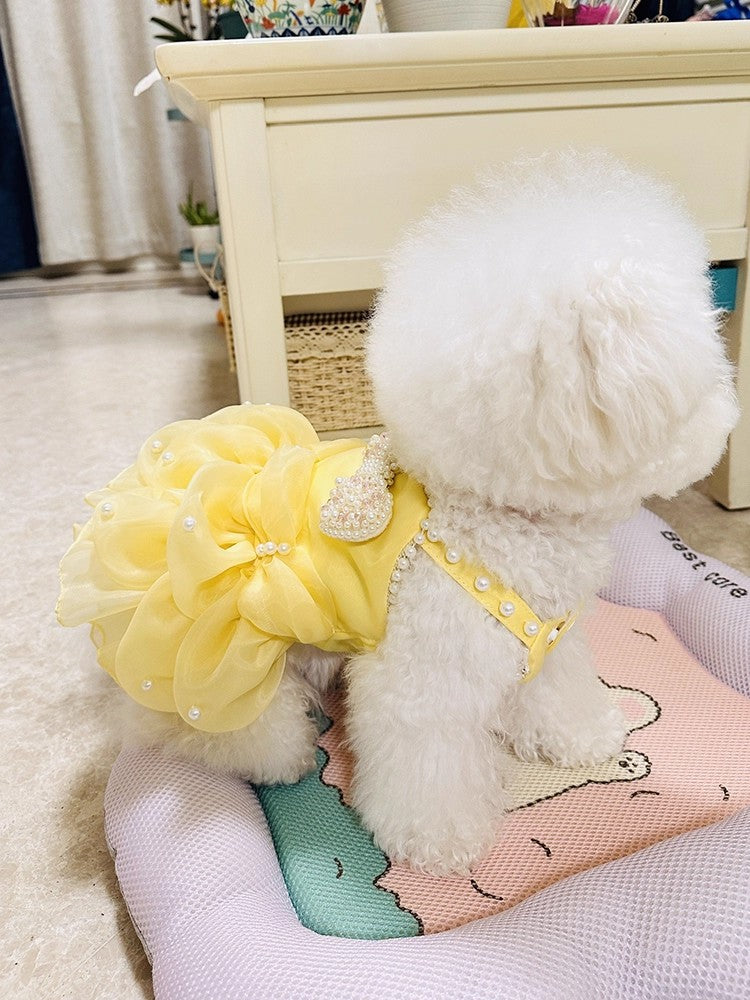 White dog wearing a yellow outfit sitting on a cushion with a blurred background
