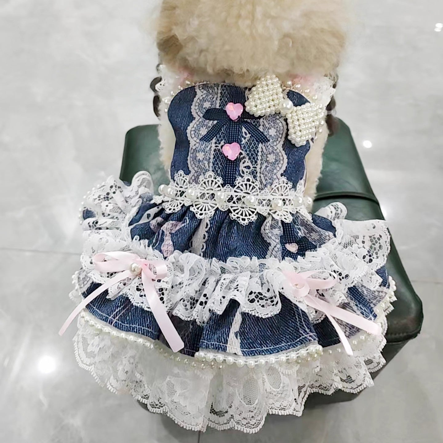 Dog wearing a denim dress with lace details and a pink heart on a white background