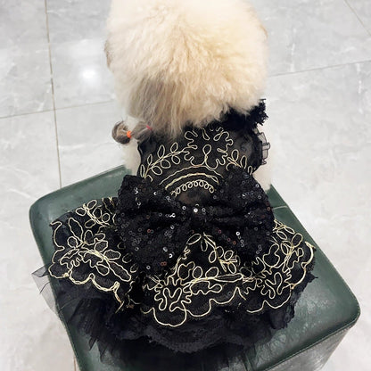 Dog wearing a black embroidered outfit on a tiled floor