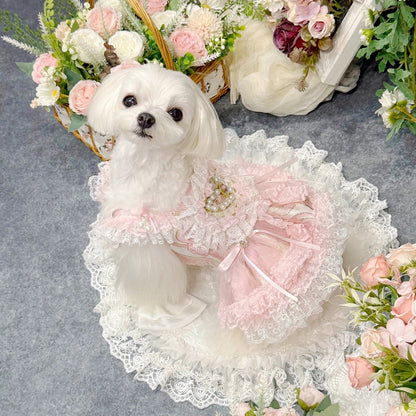 Small white dog in a pink and white lace dress surrounded by flowers on a gray background
