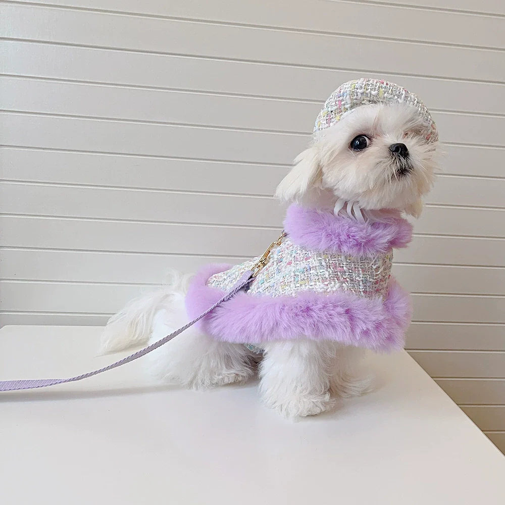 Small dog wearing a sparkly outfit with a purple fur trim on a white surface.