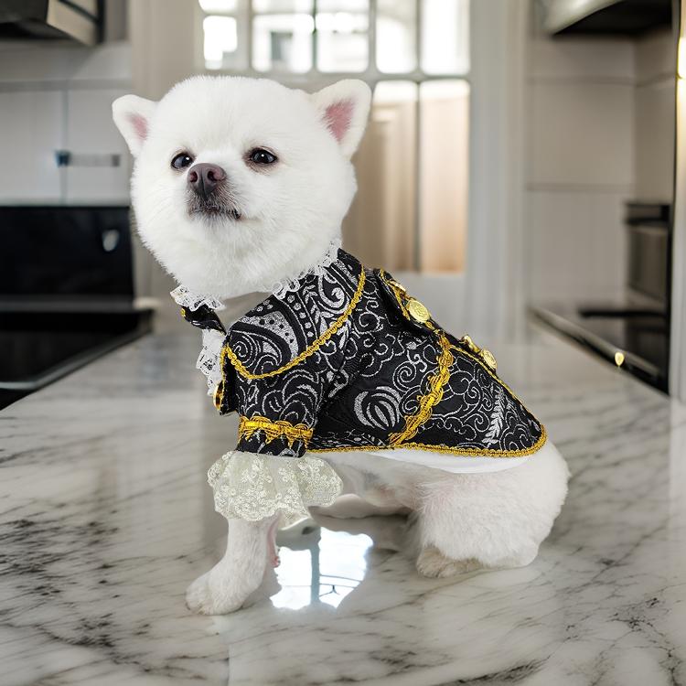 Small white dog wearing a black and gold outfit on a marble countertop