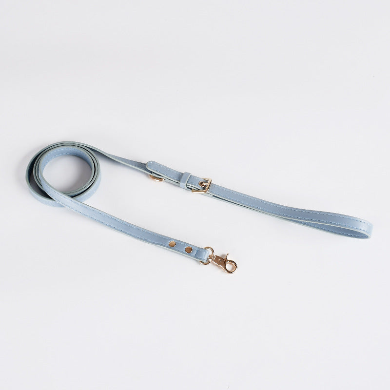 Light blue dog leash with gold hardware on a white background