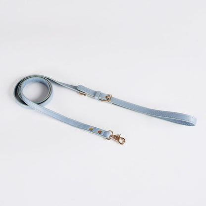 Light blue dog leash with gold hardware on a white background